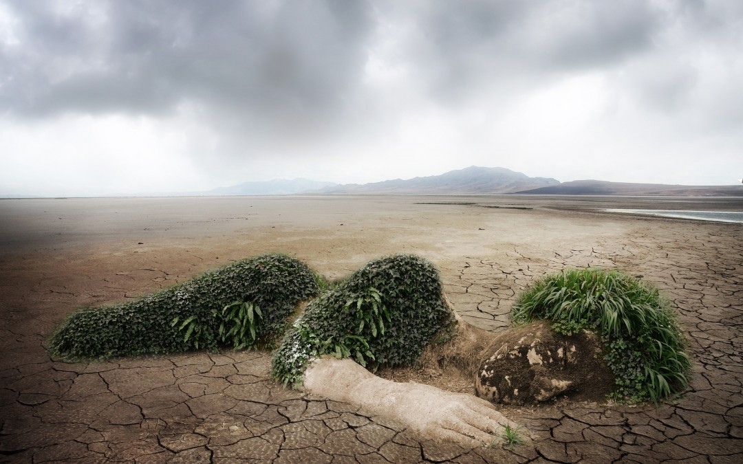 Contaminación biótica: ¿Sabes como evitarla?