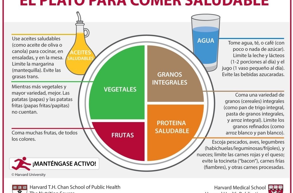 El plato para comer saludable (Día de la Alimentación)