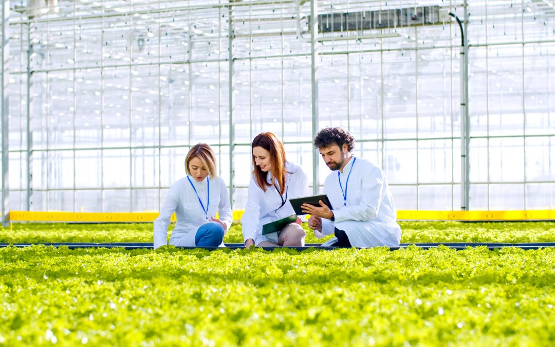 Últimas semanas para solicitar plaza en el Máster Universitario en Tecnología y Calidad Agroalimentaria (curso 2026-2027)