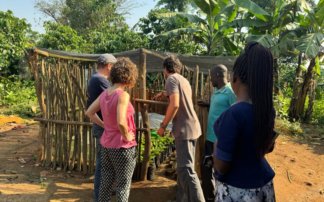 La UMH demuestra que los microcréditos agrícolas mejoran la seguridad alimentaria en Uganda